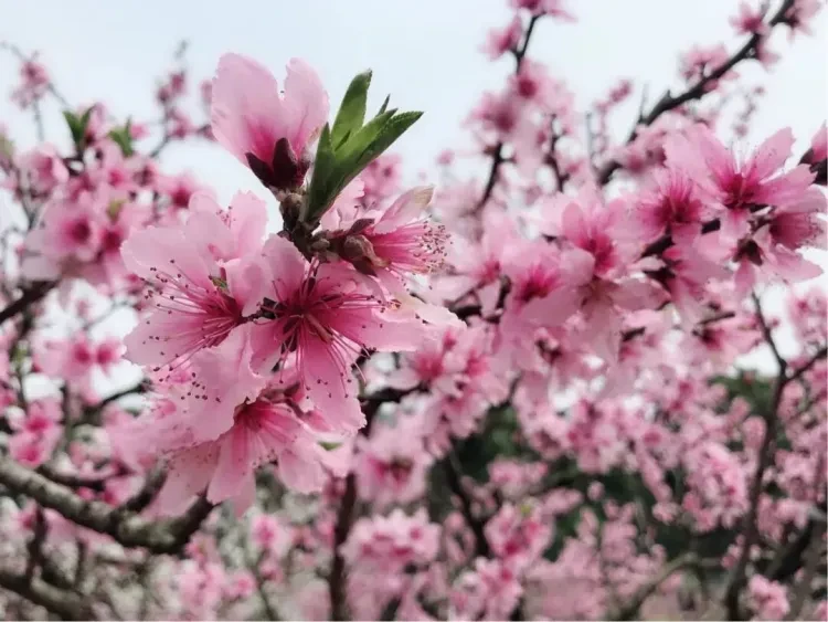 8910d4273304e9c88b690f6cfb10b2bd-sz_119151