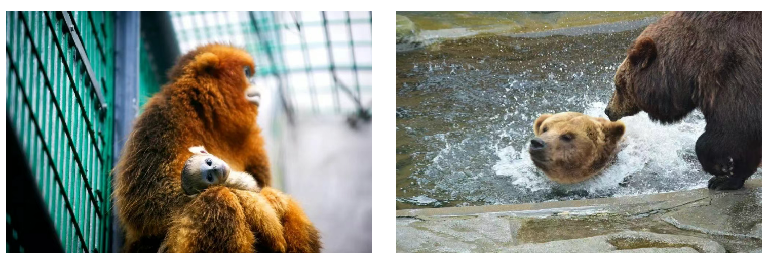 8945174435406f9539a255e74bff3f8c