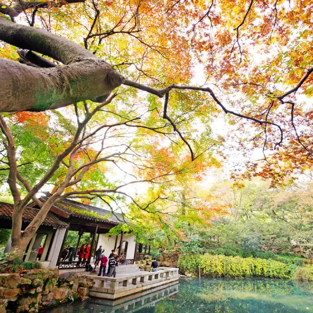 8958e2dde24f8b420ef689d97b1bc521-sz_1552394