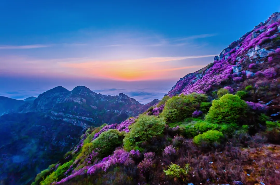 898011c06b557281e1b2f68467c24468-sz_3446329