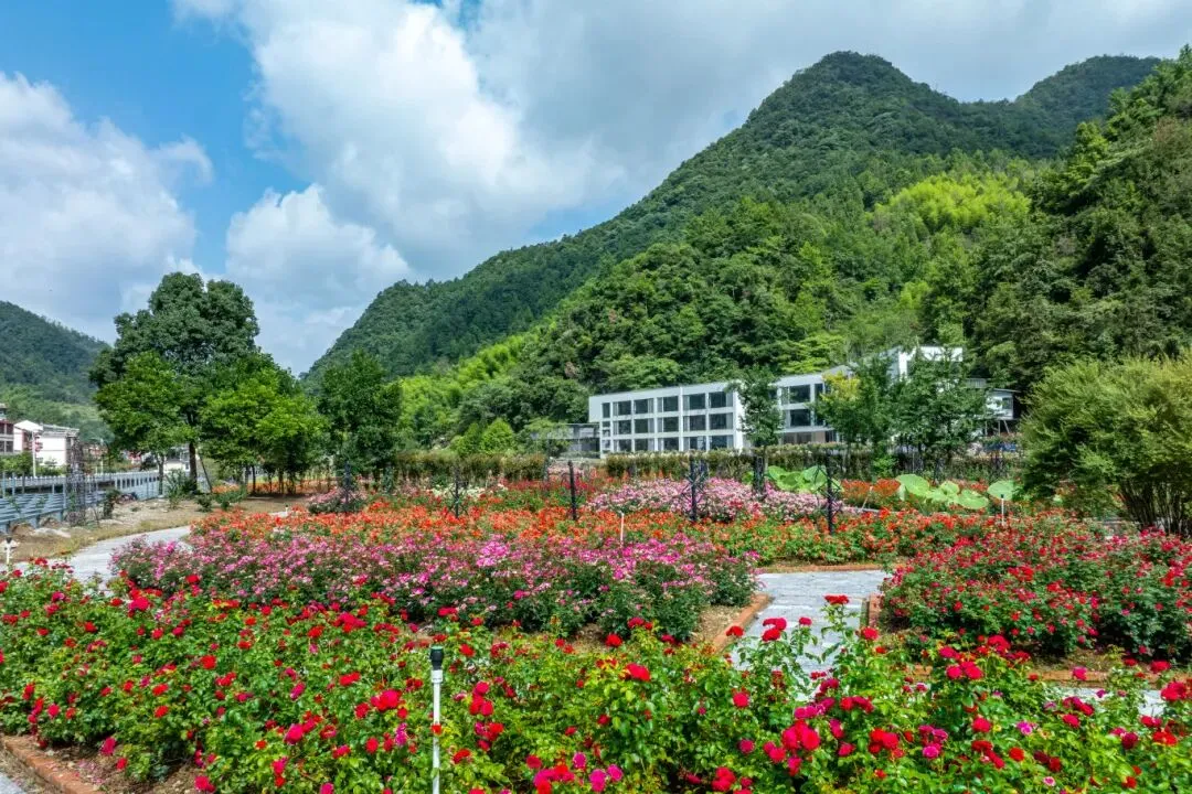 89801beffce7bfb4235b8b9abdf0f7bc-sz_225801