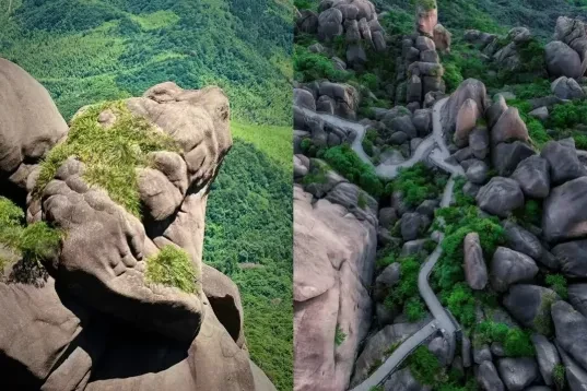 898b7877060aec77038ea5caa8e7cb68-sz_524538