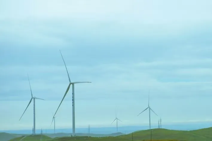 89c3d2e30d596b54dce928c1f8bd415a-sz_40279