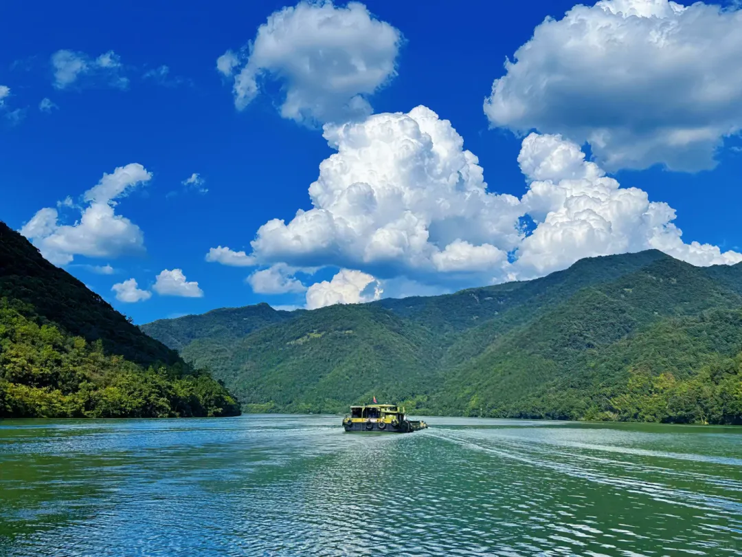 8a27e536b6013bcc9dbfb9d641c2ee92-sz_2545600