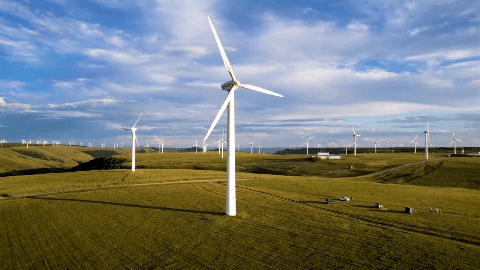 8a54c9c8acc289046e34f54b639bf637-sz_2761129