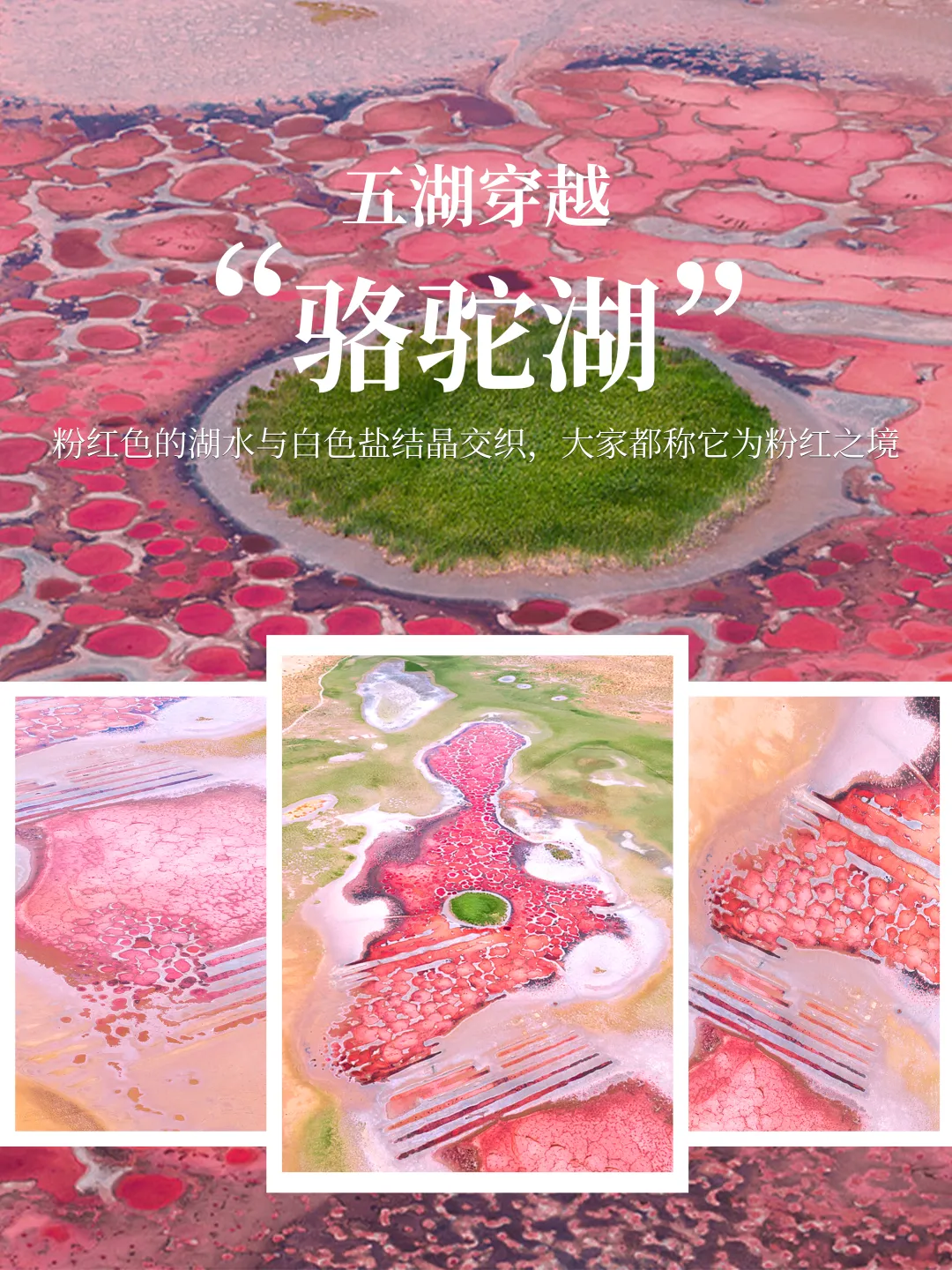 8a7501c7095abf5131a66e707b542fda-sz_7958984