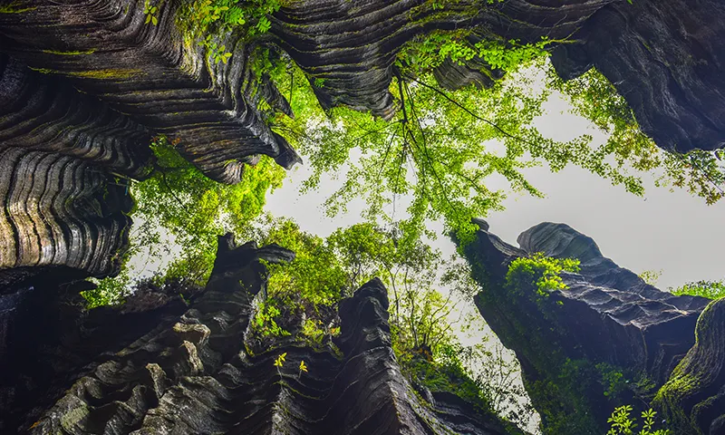 8ad4d624045eccfff41b51d4ca29850c-sz_622941