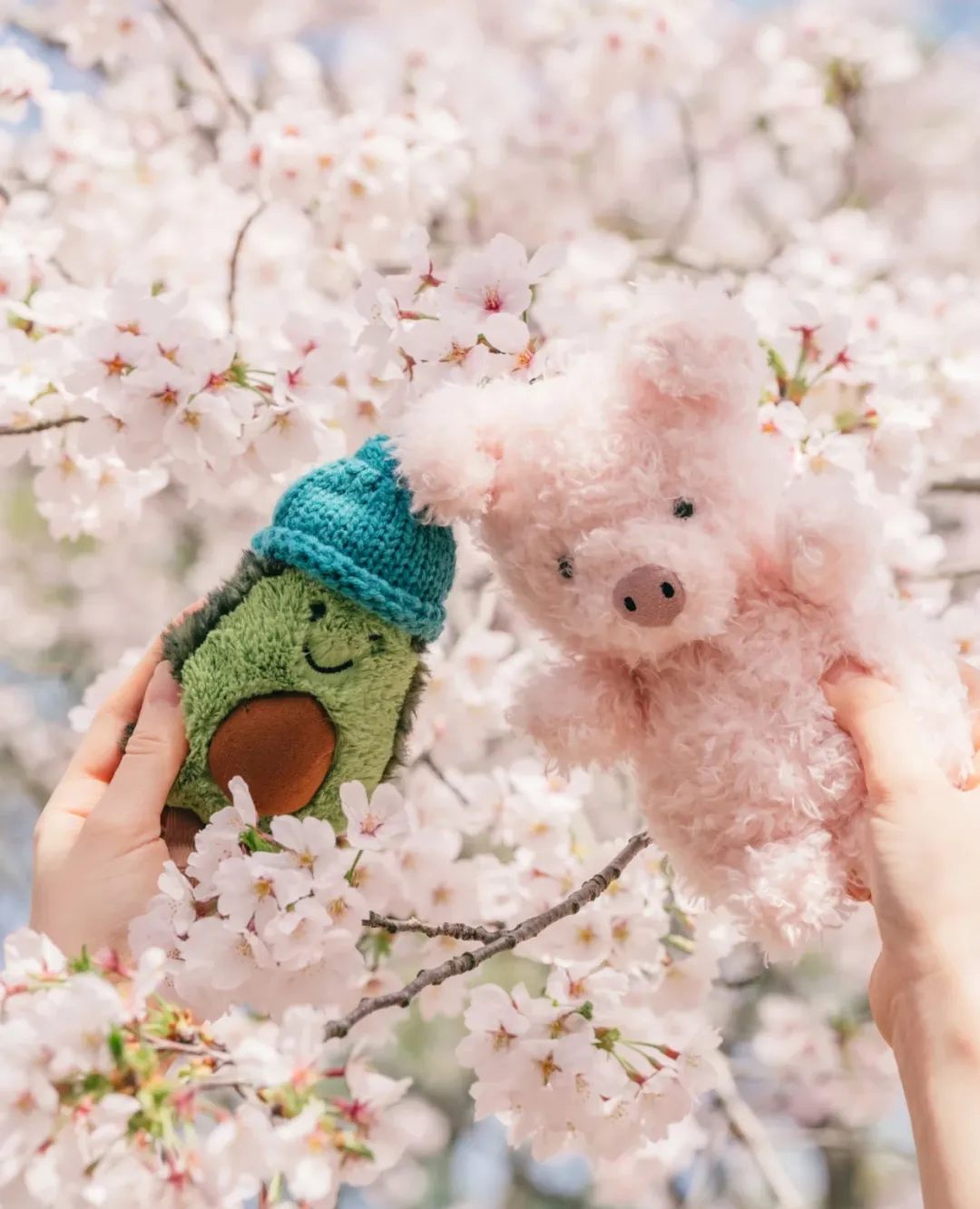 8ad63066c2f3fda9c50cd7f1483a25e0-sz_895719-2