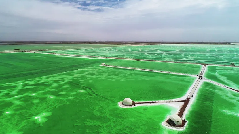 8af191f40952aaebde19777c84d47140-sz_138981