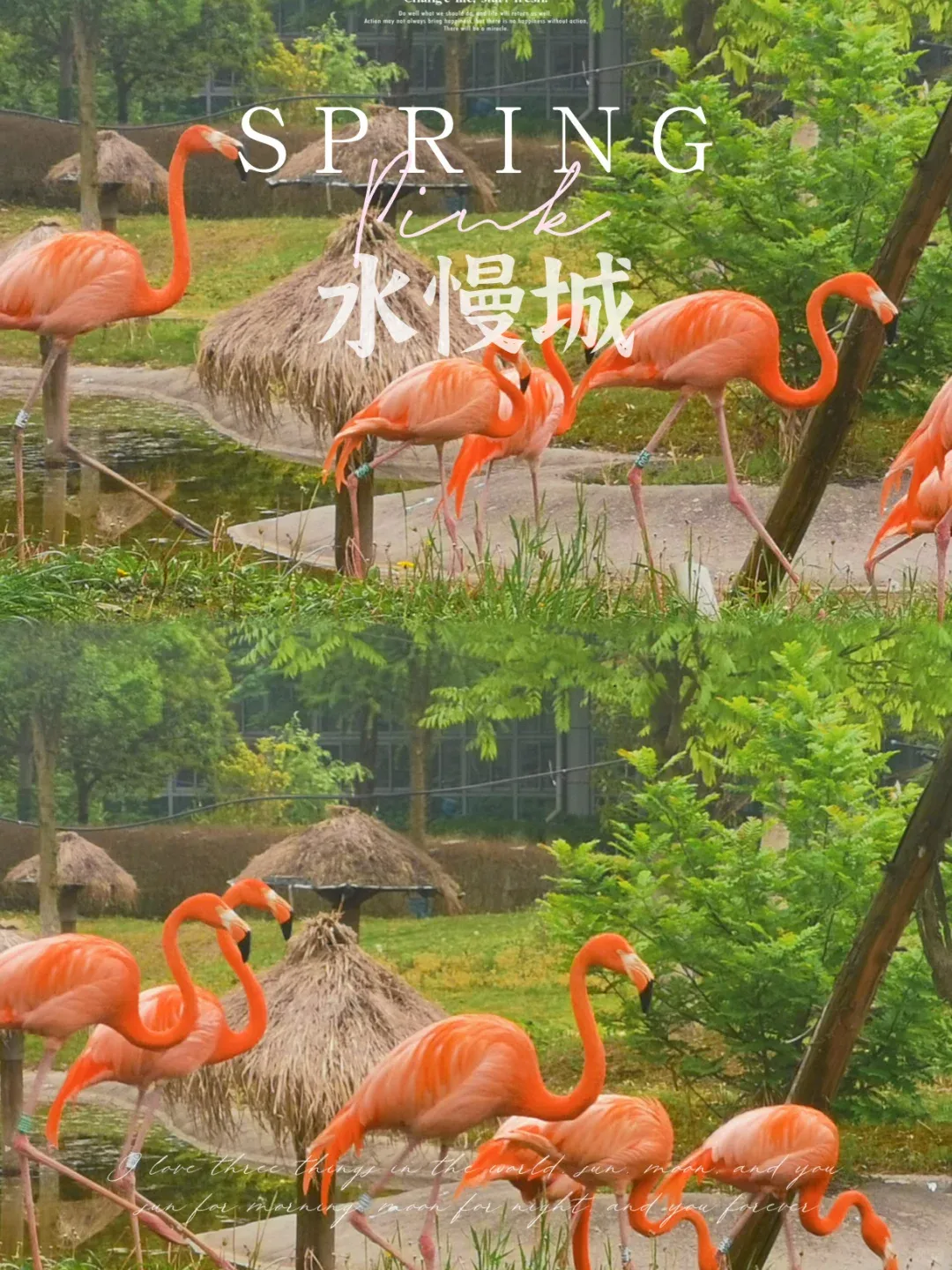 8b0ad71481566daac97b805626832289-sz_3830232-1