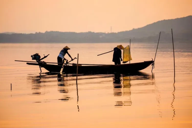 8bb8dce40a31d549a4a5326740293b07-sz_445442