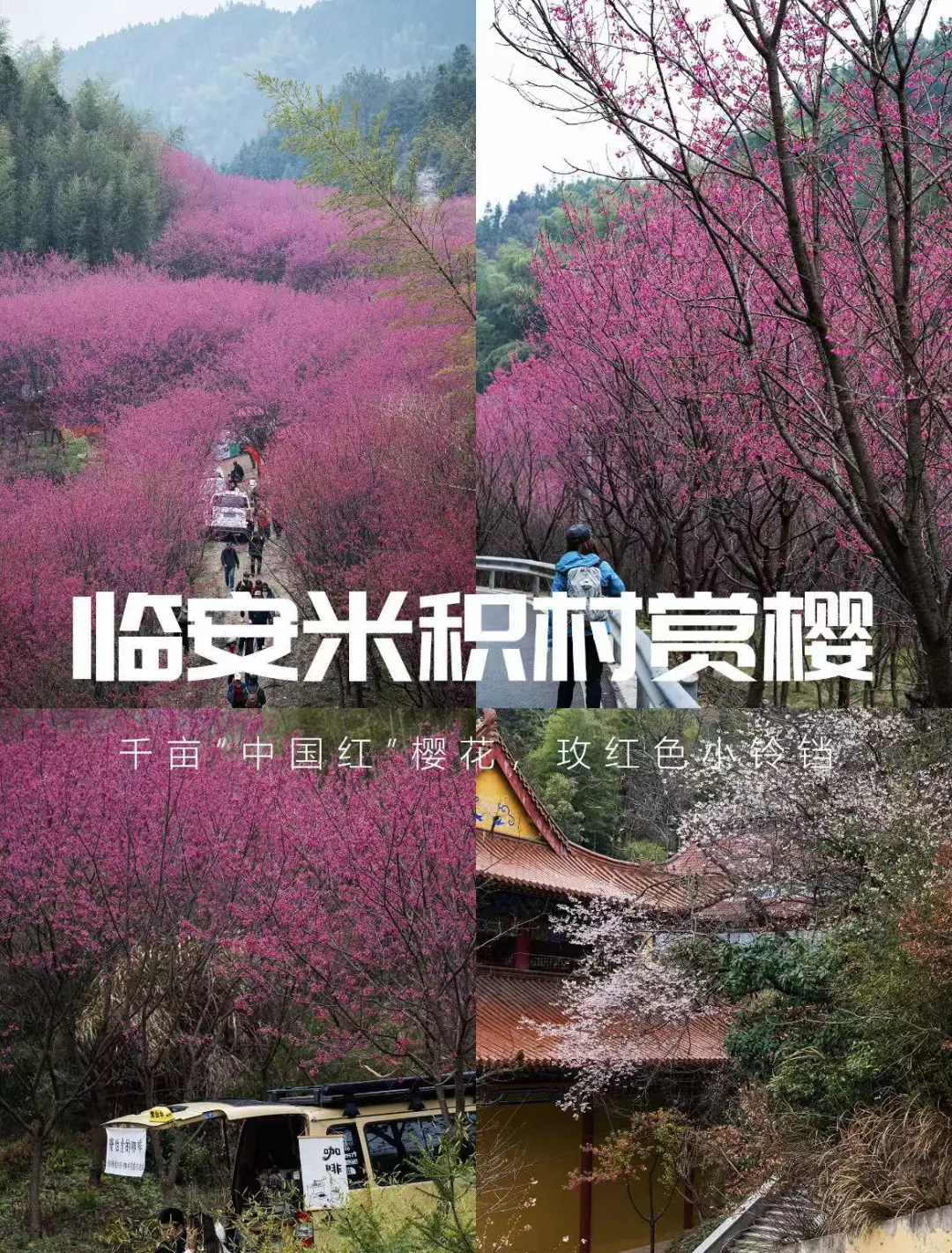 8c34e164129353f092aeb5212c78c955-sz_701759-4