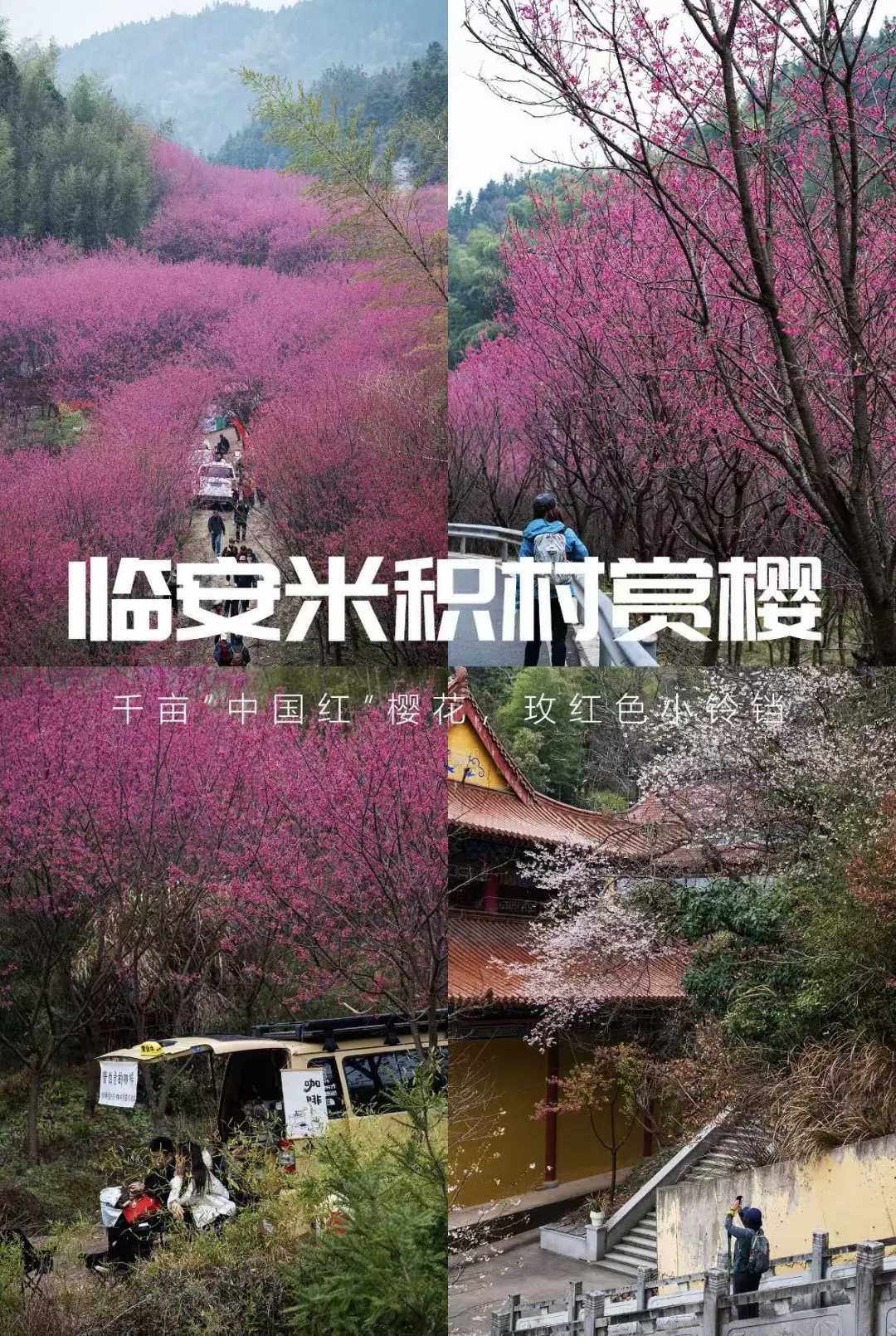 8c34e164129353f092aeb5212c78c955-sz_701759-5