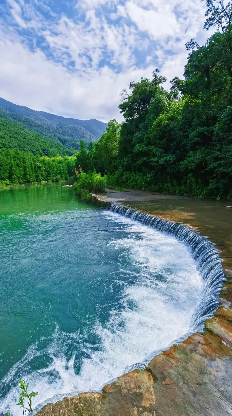 8cc41448809137d5a6a5071a4c3ae379-sz_1048665