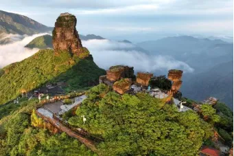 8d0c9de4320ff90fb1c231db14fb85d1-sz_310433