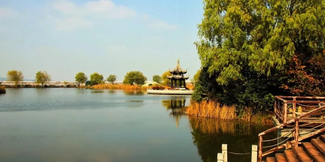 8d379803b3f0a5125141da060bcfa8fe-sz_98775-1