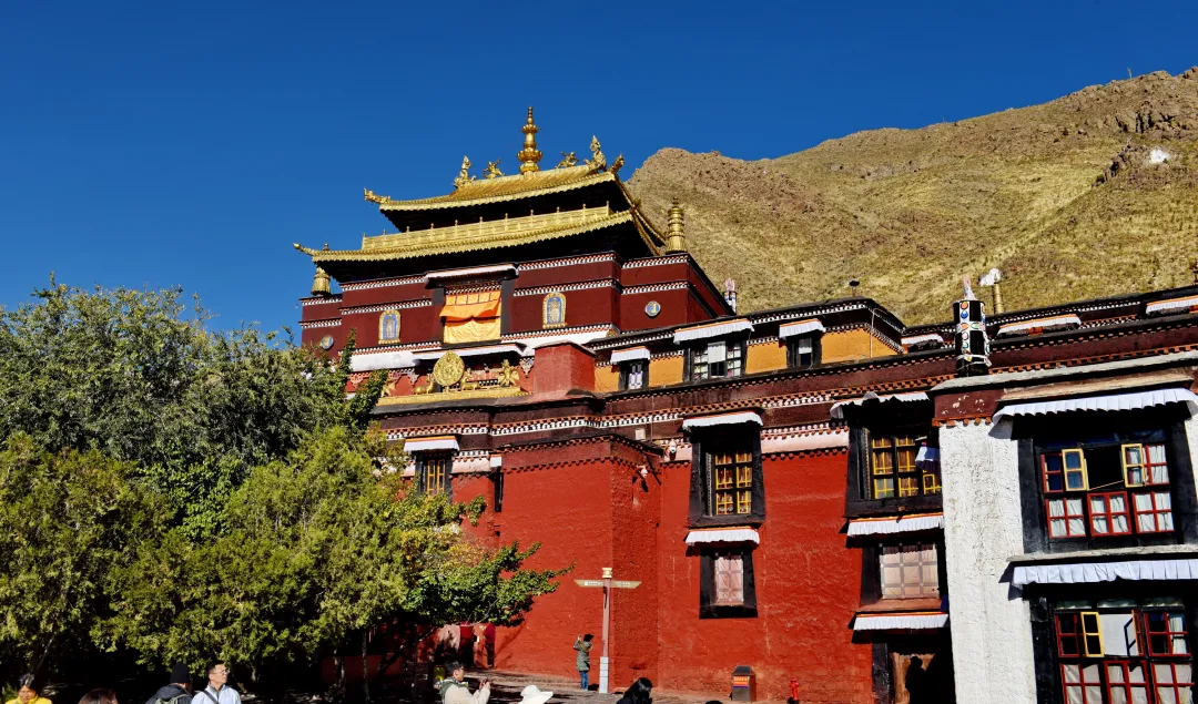 8e1401a07e8682f006a5e13187c3a608-sz_2873756