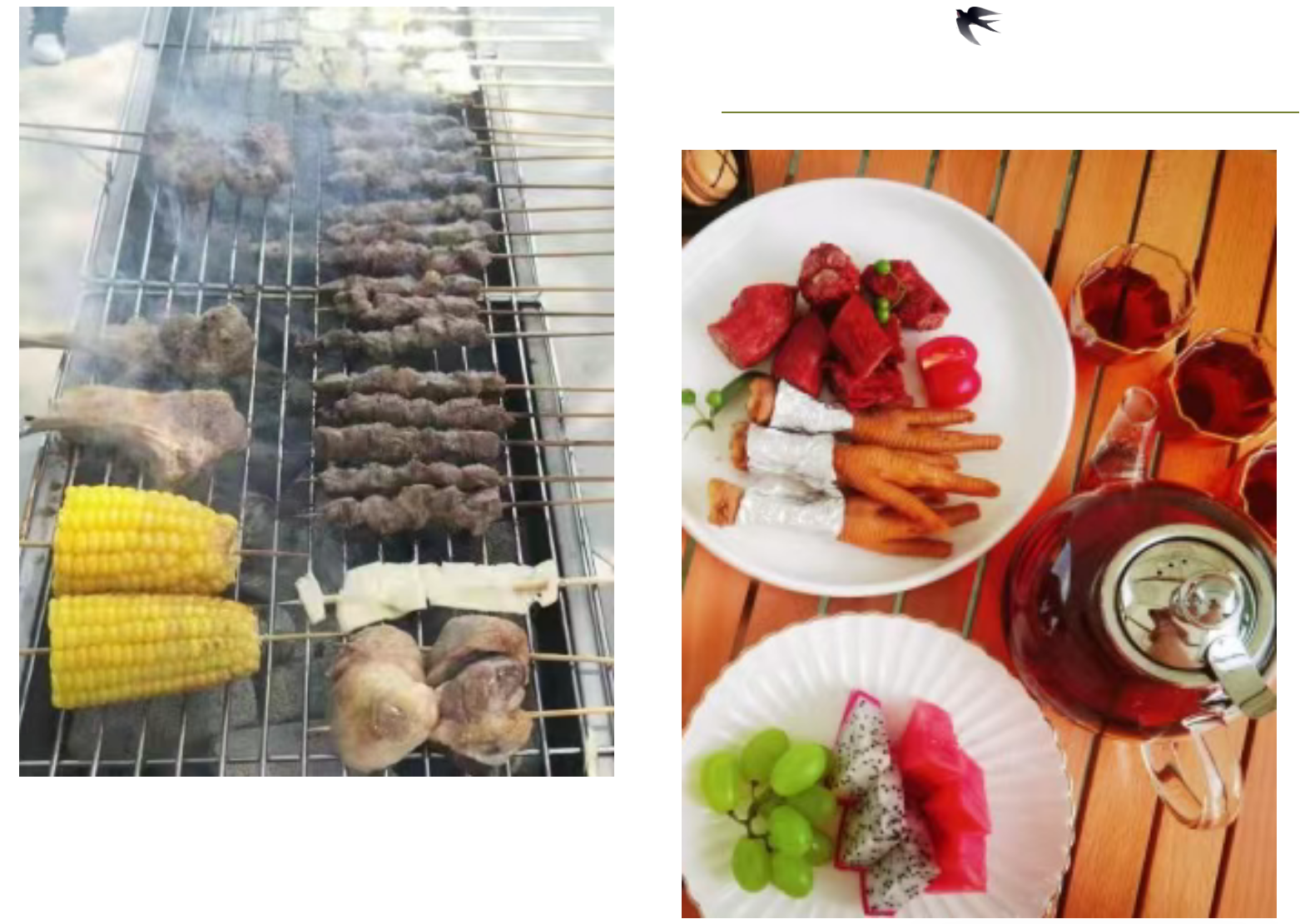 8e2720562360c3d2099414b354449180