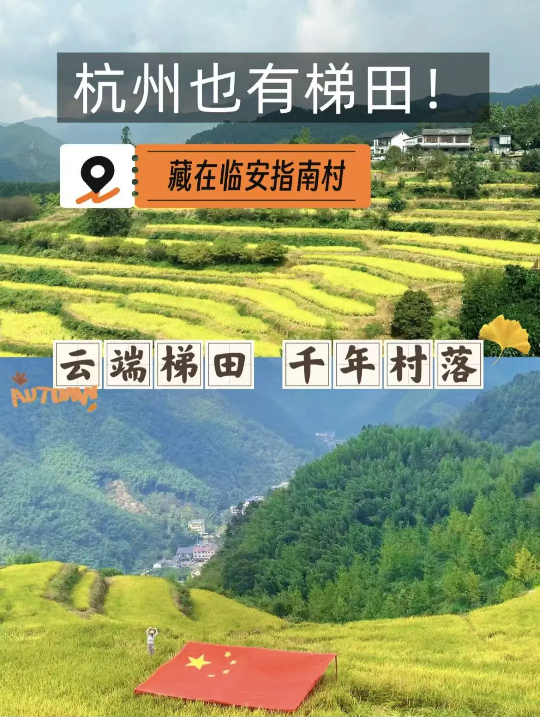 8e2c35888934da01b83626d3c33797a2-sz_322876-2