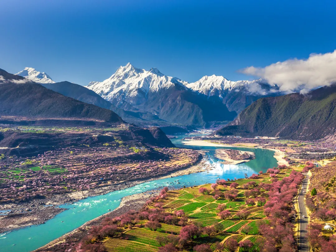 8ea106b94126e02c772341662774c5ab-sz_5526296