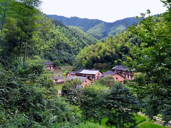 8ecfa09c55f844e7c05540e4fb8402be-sz_110931