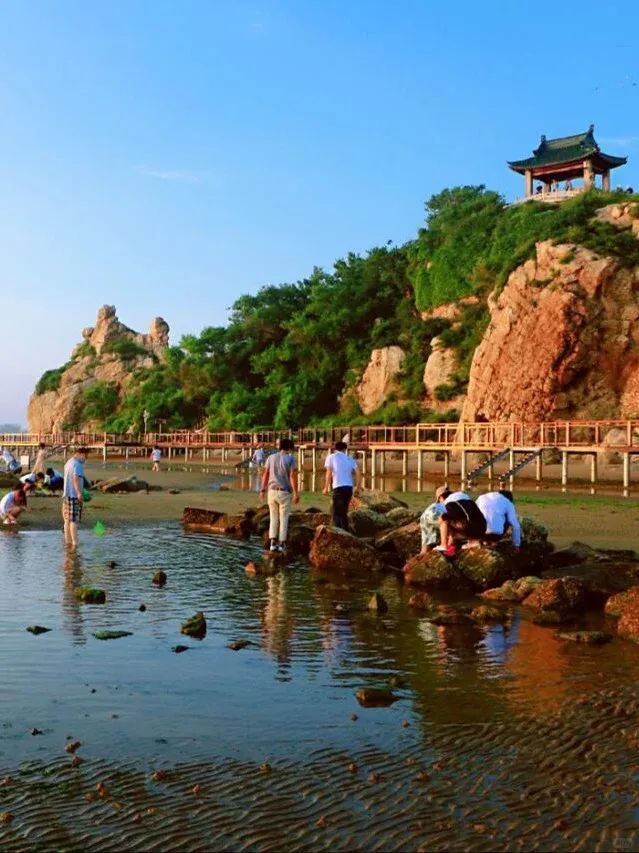 8ef0e7af764253f99562204602628a42-sz_824320