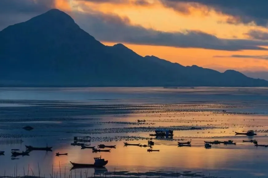 8f7f0992bd1cfbaac282452cad8e0e38-sz_338213