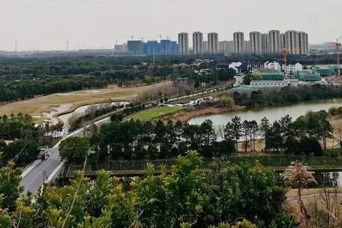 8f803dbfbde94bea6416376d8e074397-sz_46179