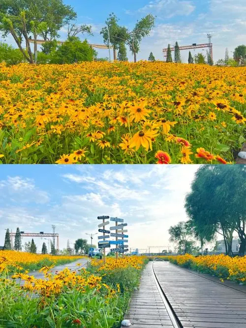 我把旅行社的底价偷来了⁉️人均699逛遍“冀东小三亚”🚂7天4晚连住精选酒店◆💯纯玩无购物◆4早6正餐/顿顿特色餐『意大利风情街/山海关/老龙头/鸽子窝』