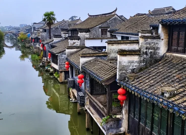 9008a8289bbe802a8a1daa749b0c7e74-sz_341554