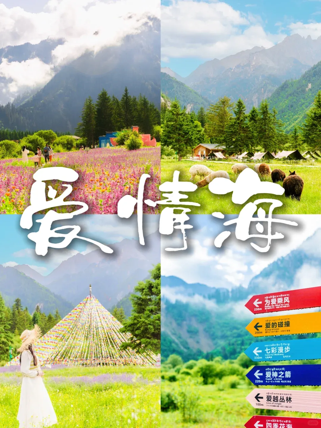 9013df7671c7c885eaedbfcc3243535a-sz_2421256