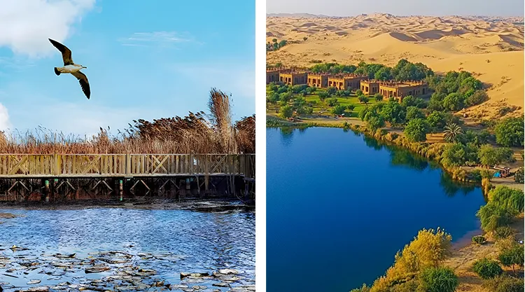 905be3a5922075cbd6531fa7cbc7f4f4-sz_840113