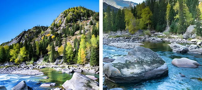 90aa8022861cda9b73786e95157bd45b-sz_687184-1