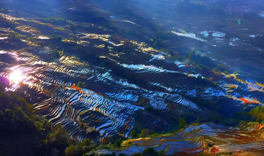 90ca72970a8f5179b9387290d32ea47e-sz_1301752