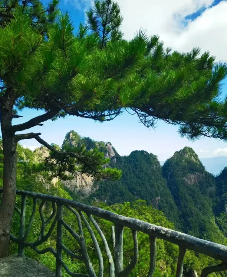 90e9a2d48706e9d3d92fb51c6277ec90-sz_1341392