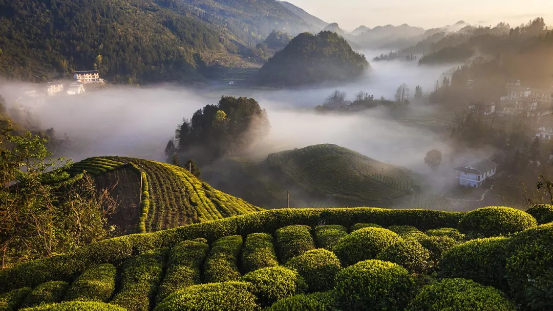 9112dfa1d575dbed5d70f51fe0aff34c-sz_242424-2