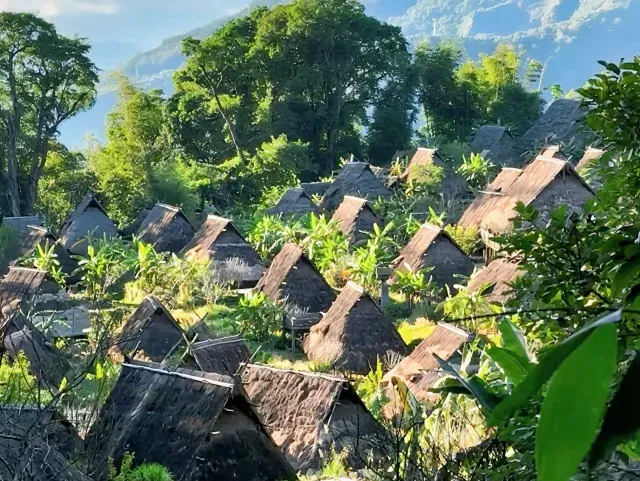 9135fe13cd87d91e001af3e5031bd858-sz_1709034-1