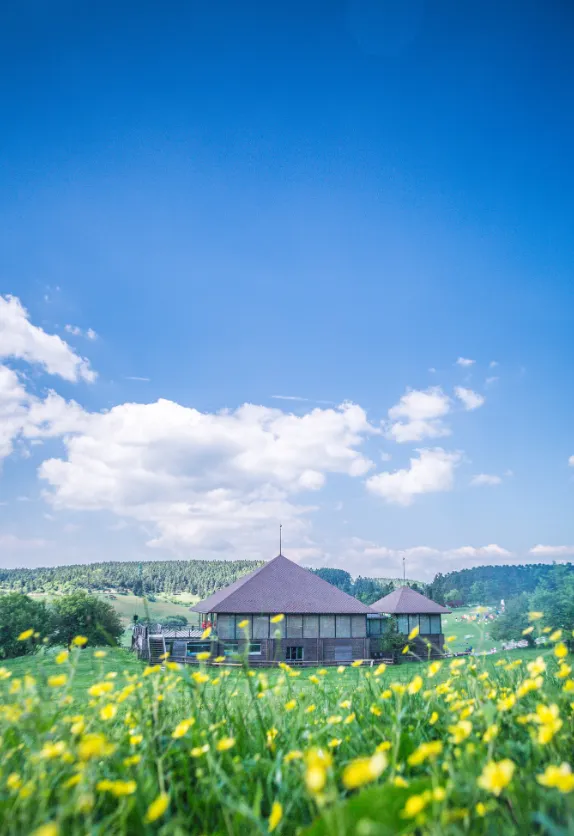 914627d5f07aeb2fbf53b88f49a56947-sz_1143105