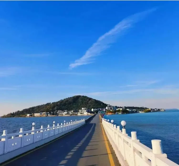 9165ce8c3fcdbd08fda9e9a827783126-sz_896125