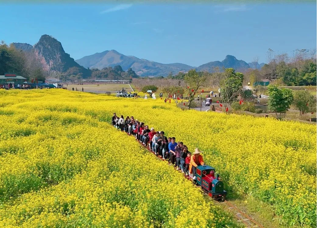 919bdac6402eae302a4f0c4d8f1ea063-sz_362809