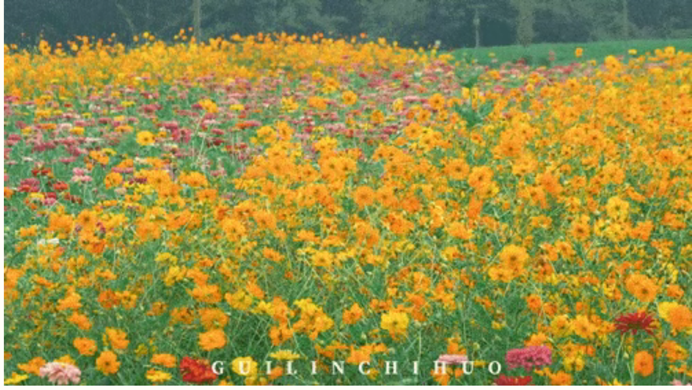 91fe1a495e53e3a4e13b534af9b587d5