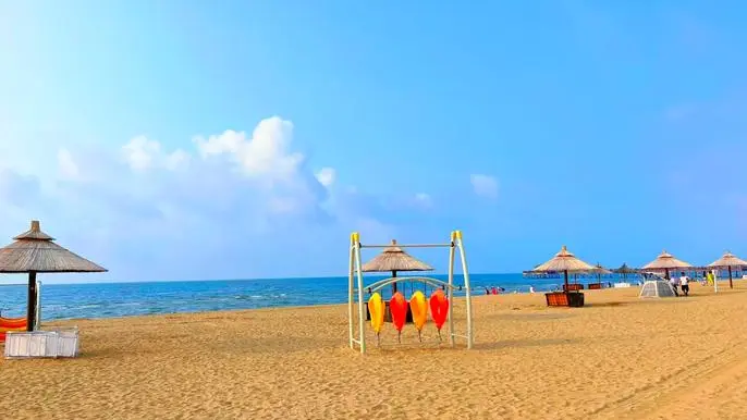 9213d8de82eec03ac594ce3a6c4e14ed-sz_41788