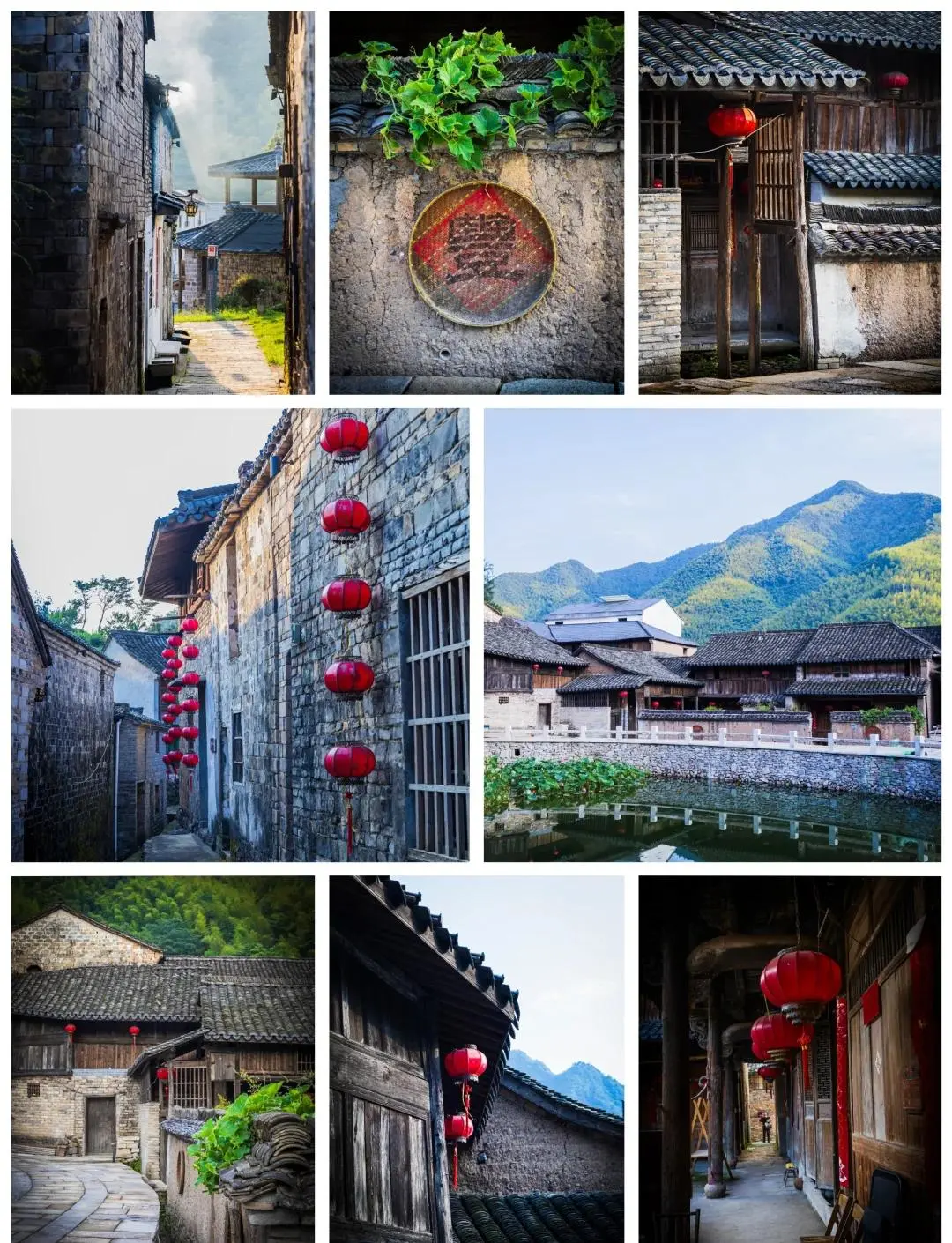 92526cbefd6d8c3d770ba768b3ef8bf1-sz_322681