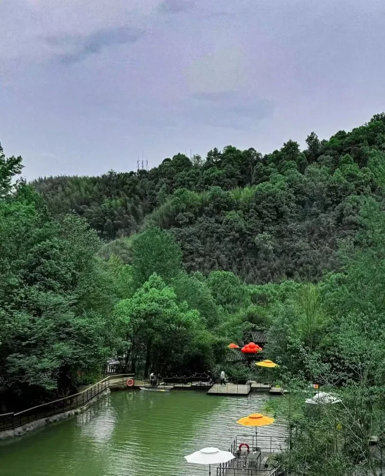 92bbc8986ab09539ea84584509668449-sz_1556936