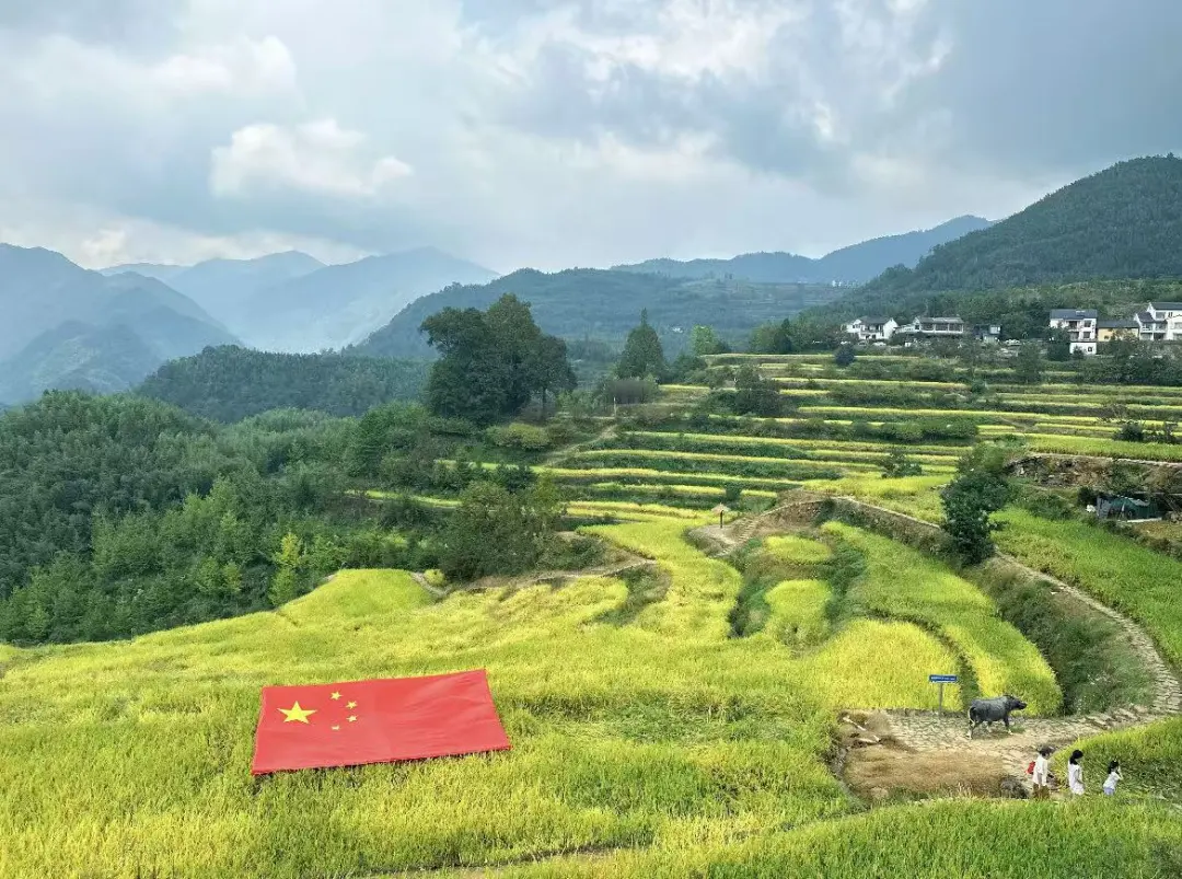 92e1319ec39299f46643065245d81d47-sz_253346-2