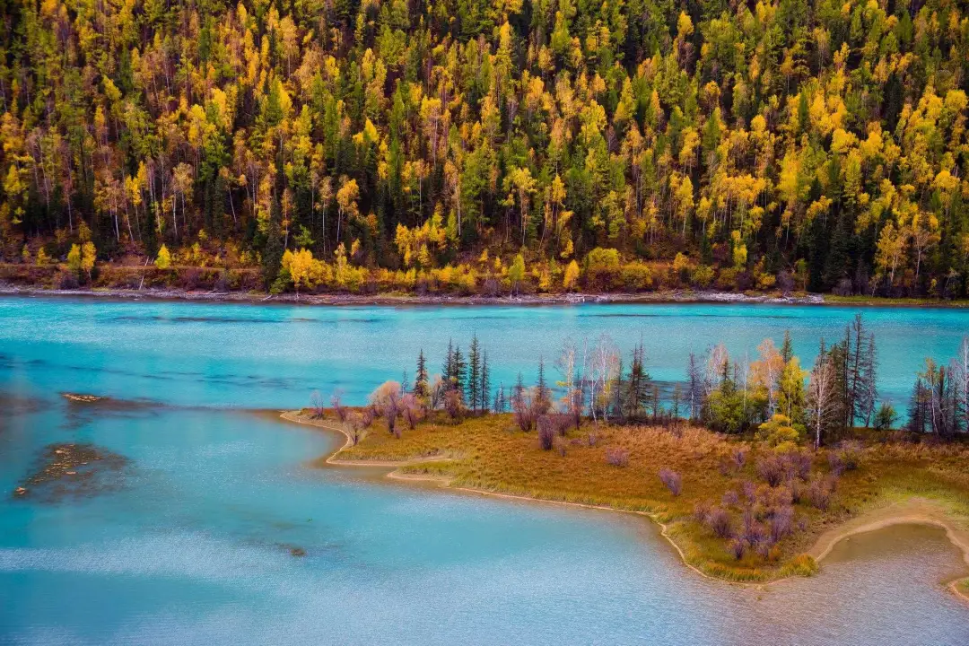 93dc92b7af1000582ed4943c0c7b6d62-sz_562011