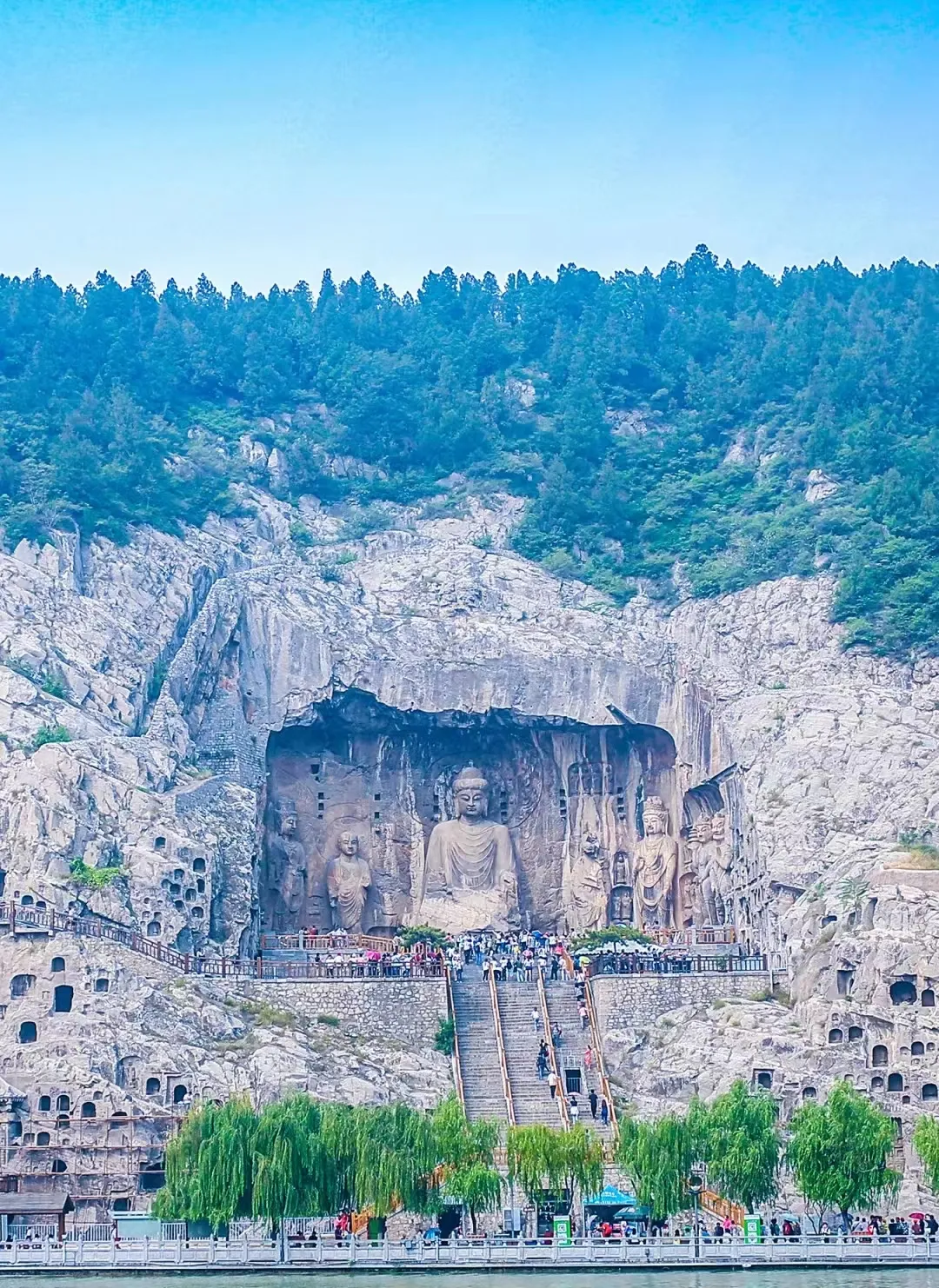 93e48c359d4bd4c86c94e9cd72925755-sz_1861675