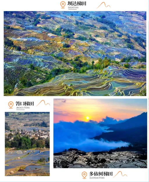 94b6a6f140a46717b5b2ef2602ef3524-sz_556569