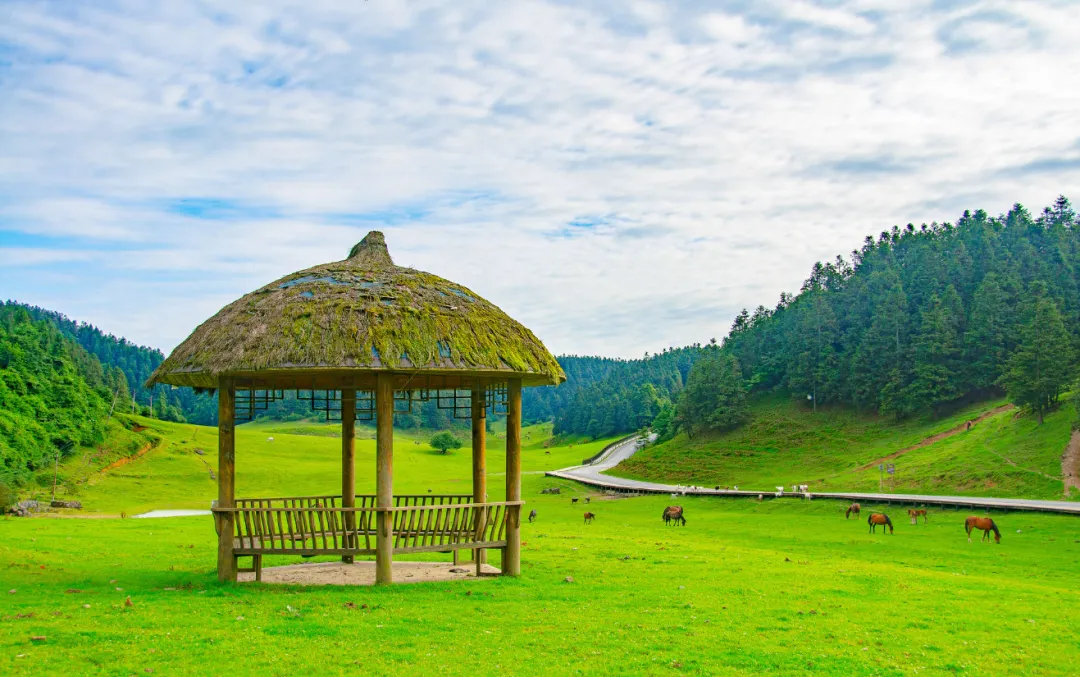 9594aa0a5dea6ddc24747a7ce394e178-sz_2695102