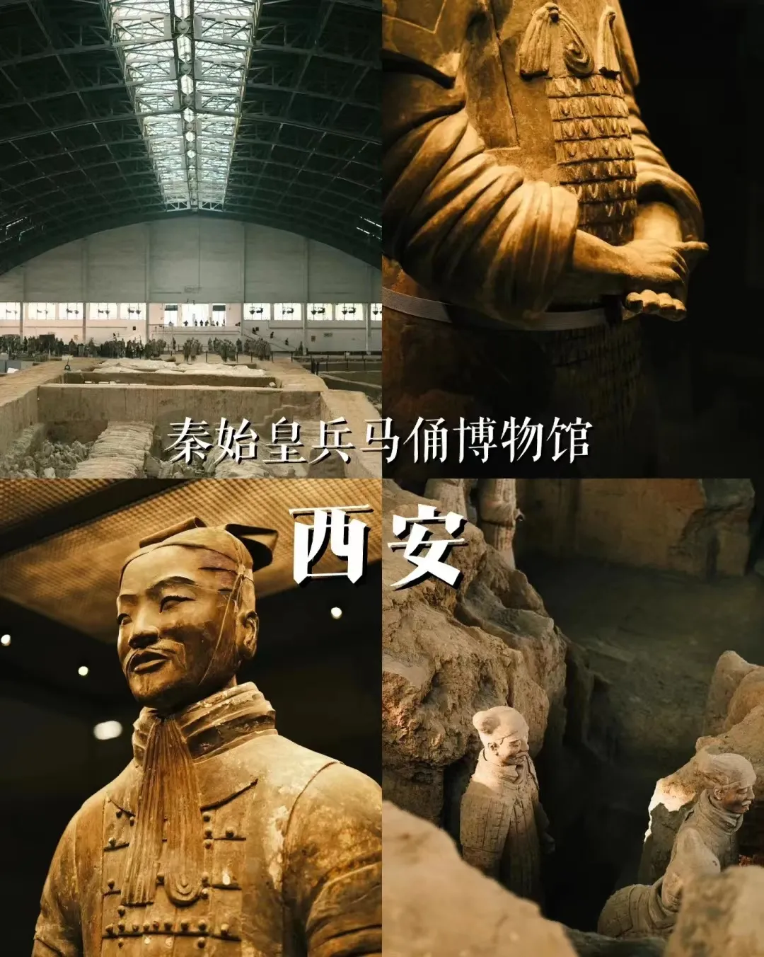 959bb87130474c867e9d06f937fff12d-sz_446471-2